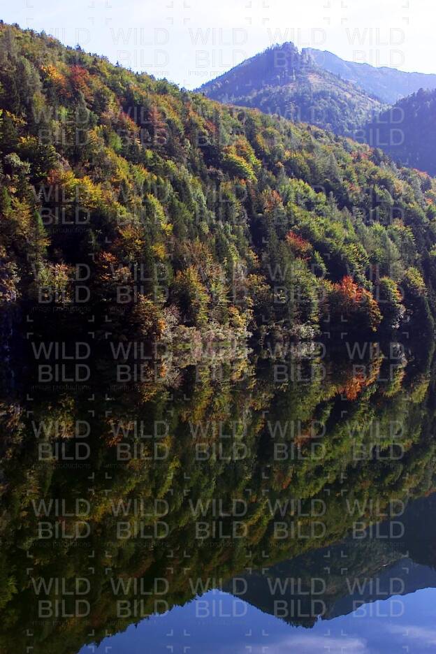 Herbst